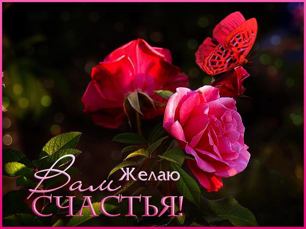 Гифки счастье. Желаем счастья. Пожелания счастья. Желаю вам счастья. Красивые розы с пожеланиями удачи.